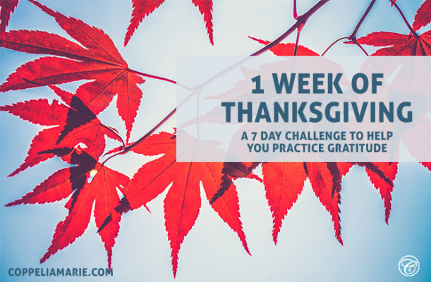 1 Week of Thanksgiving Challenge
