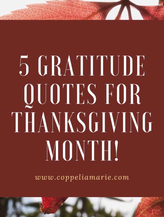 5 Gratitude Quotes for Thanksgiving Month!